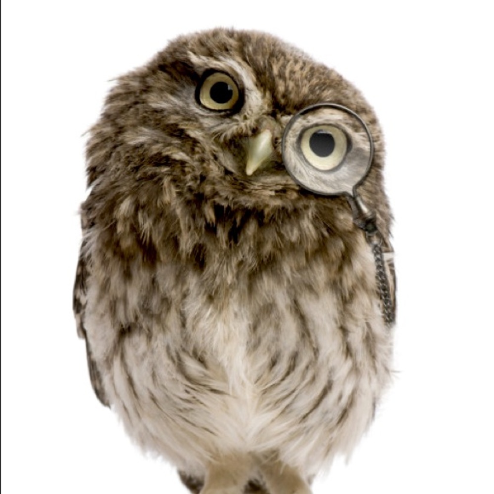 Meet your Posher, Selena